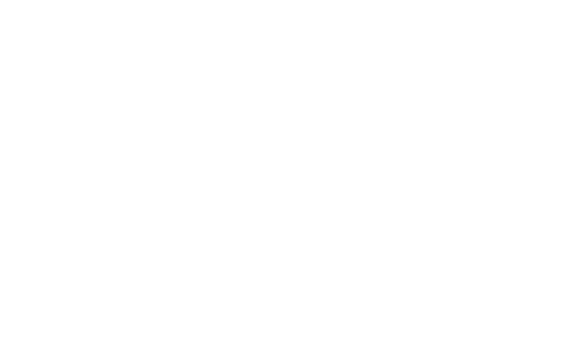 STH Logo